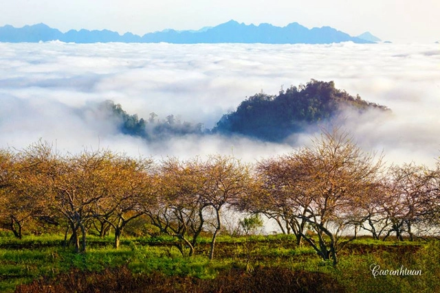 Tây bắc đẹp mơ màng qua góc ảnh của chàng trai hà thành