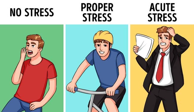 3 cấp độ căng thẳng hủy hoại sức khỏe không tưởng hầu như ai cũng mắc