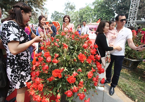 3 lễ hội hoa khiến du khách thất vọng dù chen chúc vào cổng
