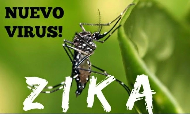 Cách phòng vi rút zika gây teo não như thế nào