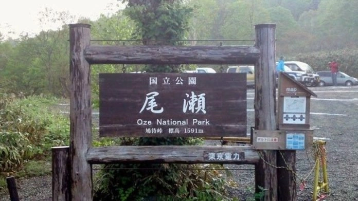Đến cao nguyên oze - công viên đầm lầy tuyệt đẹp của nhật bản
