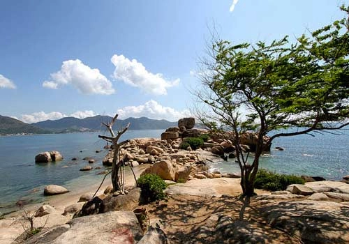 Đón gió ở nha trang