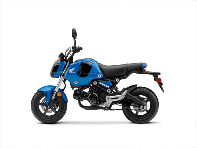 Honda msx 125 grom 2022 ra mắt tạo nên một cơn sốt trong giới chơi xe