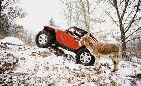  jeep lower forty concept thi leo núi với lừa 