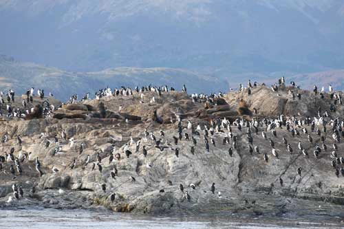 Khám phá ushuaia nơi tận cùng thế giới