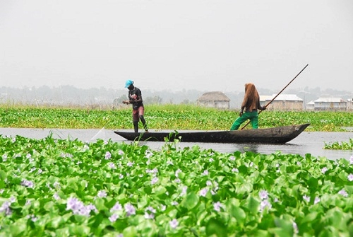 Ngôi làng trên hồ độc đáo ở châu phi