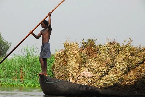 Ngôi làng trên hồ độc đáo ở châu phi