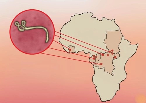 Những điều mẹ cần biết để ngăn ngừa ebola