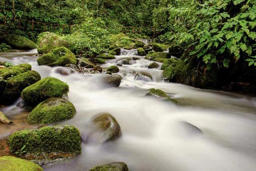 Những thanh nam châm hút khách nhất thế giới