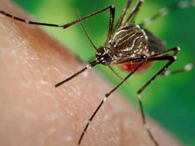 Phòng tránh virus zika lây lan qua đường tình dục