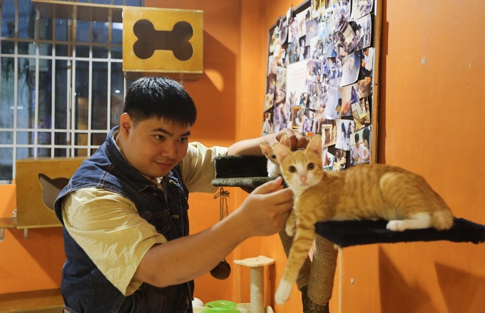 Quán cà phê cho khách nhận mèo về nuôi ở sài gòn