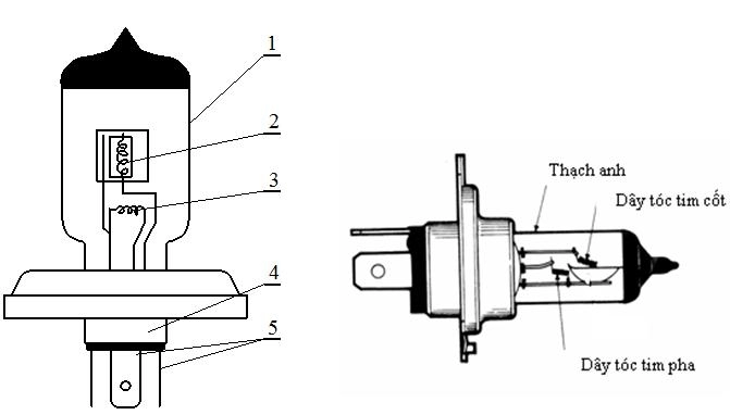 So với bóng sợi đốt truyền thống bóng đèn halogen có tuổi thọ cao hơn đáng kể