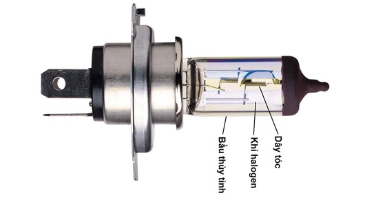 So với bóng sợi đốt truyền thống bóng đèn halogen có tuổi thọ cao hơn đáng kể