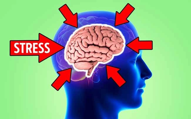 Stress có thể khiến não bạn bị teo nhỏ và đây là cách ngăn chặn