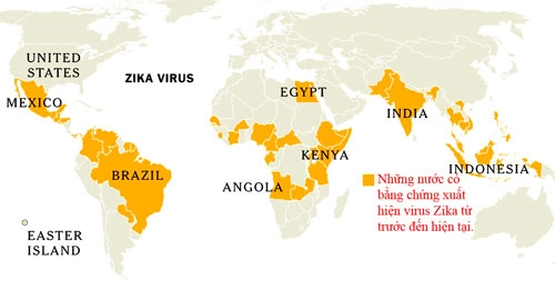 Thêm bằng chứng virus zika liên quan bất thường não thai nhi