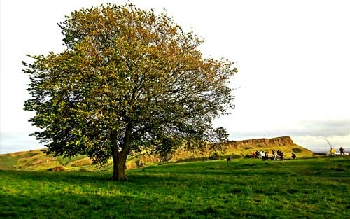 Thu lãng mạn trên xứ scotland