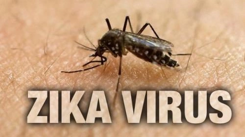 Tphcm số ca mắc zika tiếp tục tăng mạnh