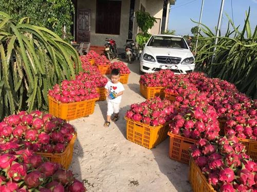 Biệt thự nhà chồng đại gia của vy oanh hoành tráng cỡ nào