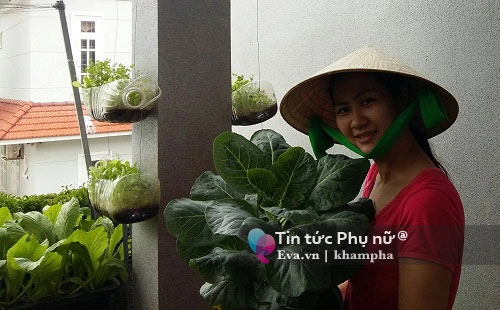 Chồng phản đối 8x vũng tàu lén trồng rau sạch trên ban công