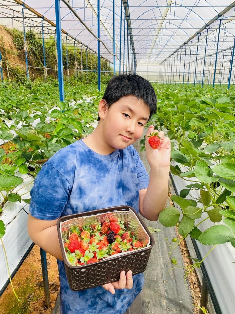 Con gái lê phương và trung kiên kém7 tuổi càng lớn càng đáng yêu giống bà nội y đúc bảo sao được cưng chiều