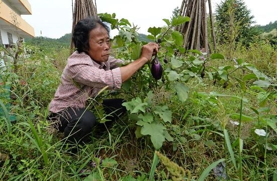 Cụ già 86 tuổi chi hàng chục tỷ suốt 5 năm xây cung điện gốm sứ đẹp như mộng