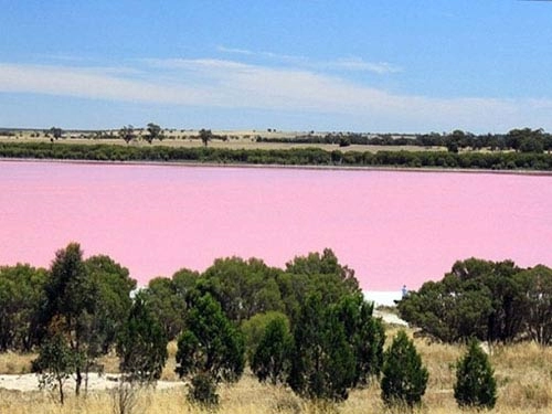 Những hồ nước màu hồng đặc biệt