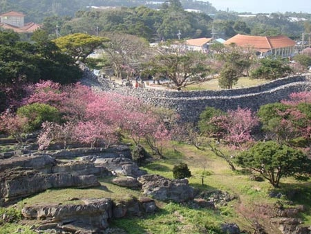 Thăm 5 lâu đài cổ kính ở okinawa