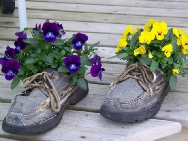 Trồng hoa trong giày dép cũ bỏ đi tưởng không hay mà hay không tưởng