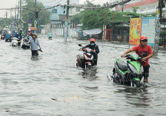 Vì sao xe tay ga nổ máy nhưng không chạy sau khi bị ngập nước