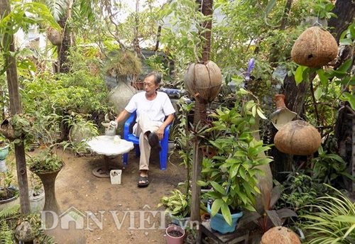 Vườn thượng uyển kiểng treo sinh thái từ trái dừa khô