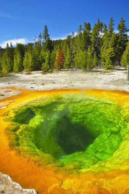 Yellowstone công viên quốc gia cổ nhất thế giới