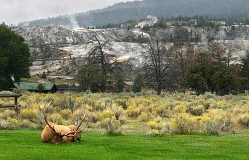 Yellowstone công viên quốc gia cổ nhất thế giới