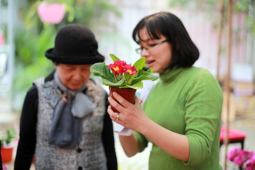 100000 đồng một cây báo xuân nhỏ xinh chơi tết