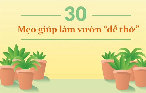 30 mẹo vặt giúp bạn làm vườn dễ thở hơn phần 1