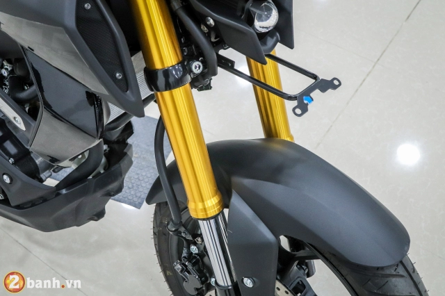 Cận cảnh yamaha mt-15 2019 tại thị trường việt nam