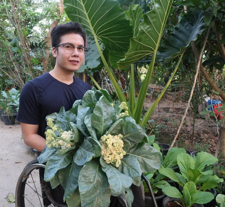 Chàng trai đi xe lăn chăm vườn 60m2 gia đình không cần mua rau còn dư mang cho hàng xóm