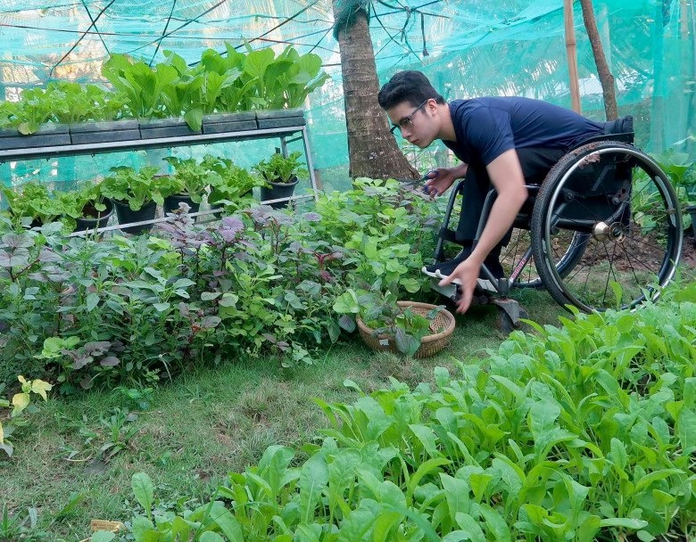 Chàng trai đi xe lăn chăm vườn 60m2 gia đình không cần mua rau còn dư mang cho hàng xóm