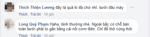 Chàng trai khoe được tặng bưởi khủng thờ tết dân mạng được phen bóc mẽ sự thật