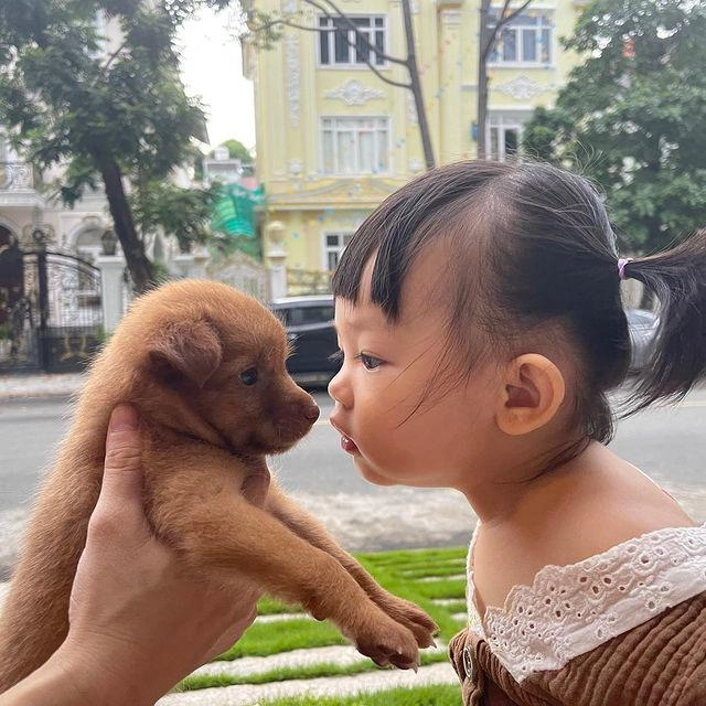 Chập chững biết đi thế lực nhí nhà cường đô la đã diện đồ tạo dáng cực chuyên nghiệp