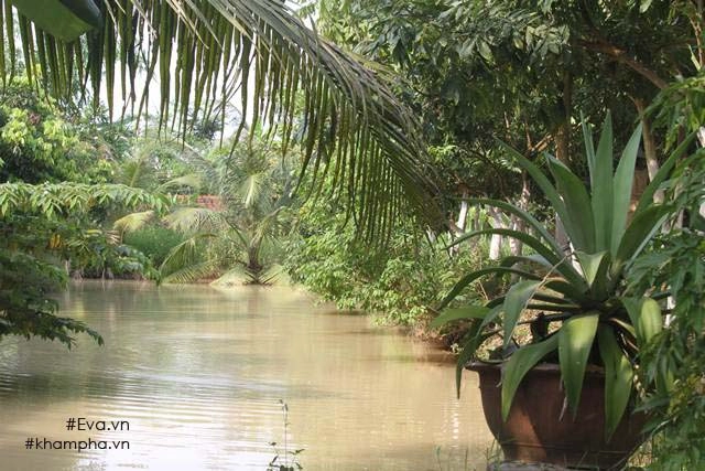 Chiêm ngưỡng nhà vườn 10000m2 mà giang còi quyết không bán để mua chung cư nội đô