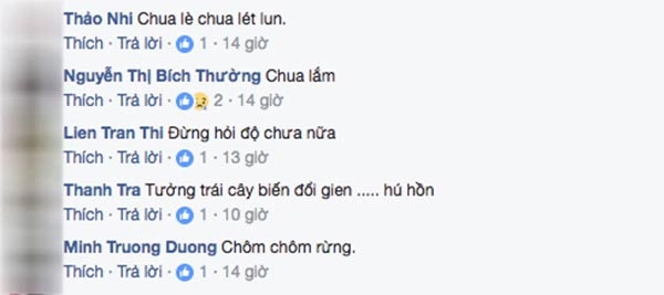 Chôm chôm ruột vàng 80 nghìnkg được tín đồ ăn vặt sài gòn ráo riết tìm mua