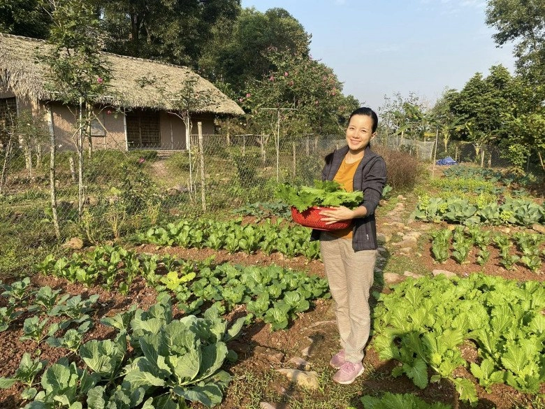 Cựu mc nhiều con nhất nhì nhà đài vtv khoe vườn rau tự trồng cảnh tỉnh những ai muốn bỏ phố về rừng