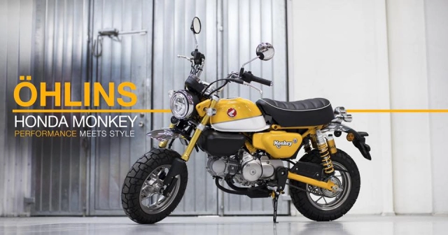 Đánh giá ohlins monkey sau những trải nghiệm của bản thân