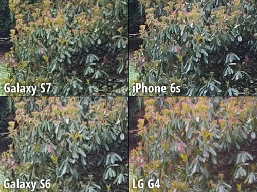 Đọ camera 4 siêu phẩm galaxy s7 iphone 6s galaxy s6 và lg g4