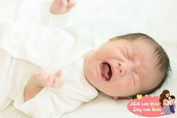 Em bé chào đời 7 ngày tuổi nhưng vẫn chưa chịu mở mắt bố sốt ruột đưa đi khám và kết quả ngã ngửa