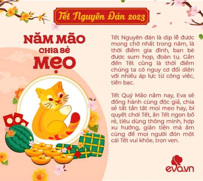 Hoa hồng nở bung đúng dịp tết nguyên đán chỉ với mẹo nhỏ này