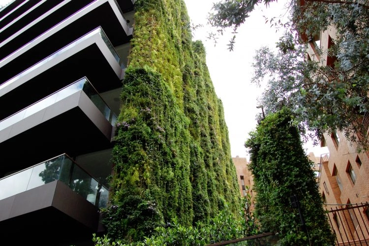 Khu vườn thẳng đứng ngoạn mục nhất thế giới che phủ 11 tầng nhà