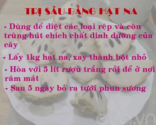 Kinh nghiệm trồng rau củ quả trong thùng xốp phần 2