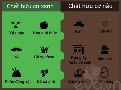 Kinh nghiệm trồng rau củ quả trong thùng xốp phần 2