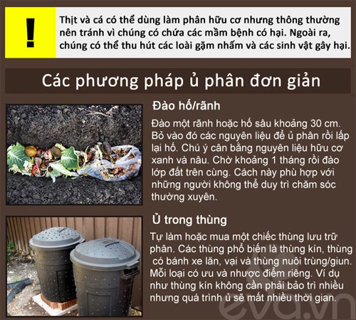 Kinh nghiệm trồng rau củ quả trong thùng xốp phần 2